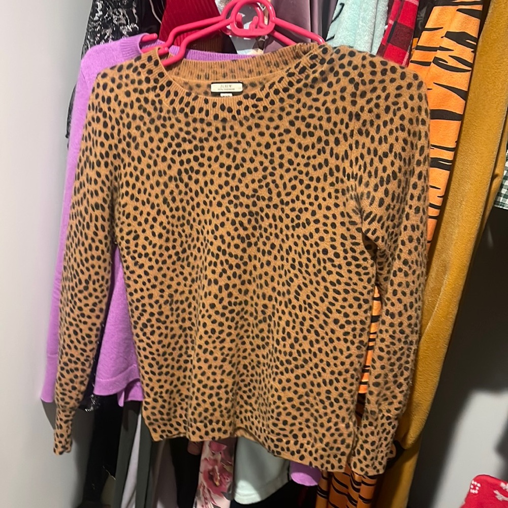 Cheetah Teddie sweater